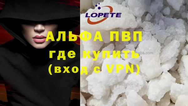 спайс Аркадак