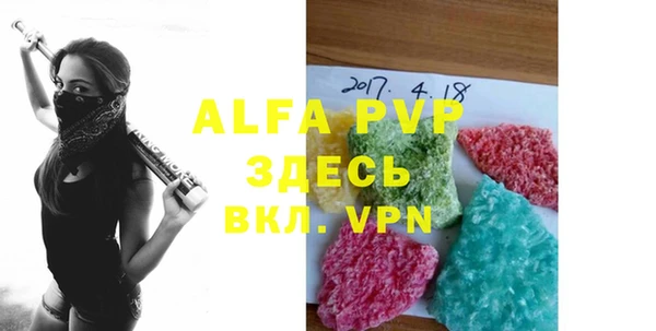 индика Арсеньев