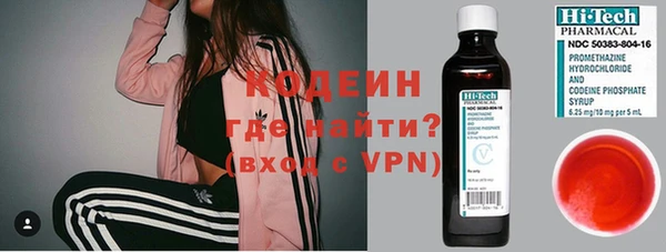 индика Арсеньев