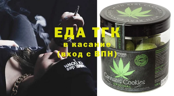 индика Арсеньев