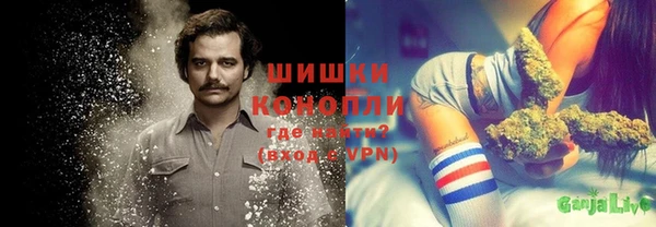 индика Арсеньев