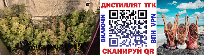 ТГК вейп с тгк Мариинск